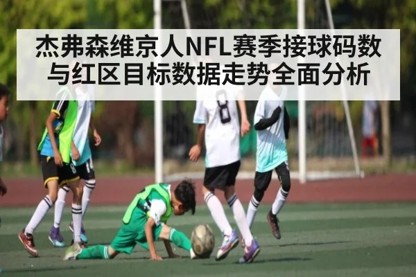 杰弗森维京人NFL赛季接球码数与红区目标数据走势全面分析